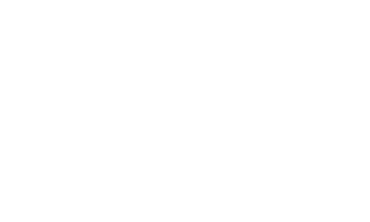 StagerPro Logo
